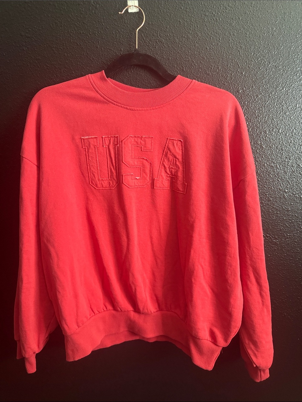 Red USA Embroidered Crewneck Sweatshirt